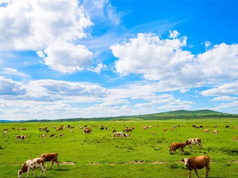 内蒙古,草原奇观与文化瑰宝的辽阔画卷