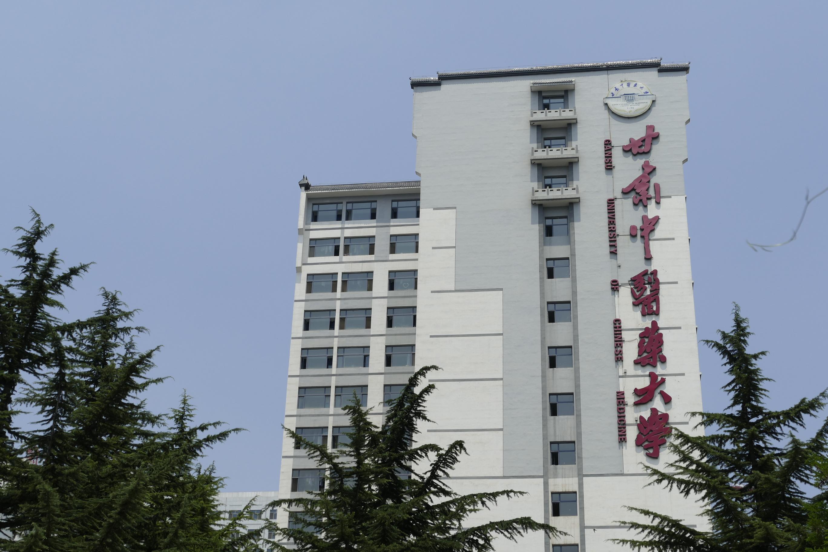 甘肃,历史文化瑰宝与现代发展活力之源