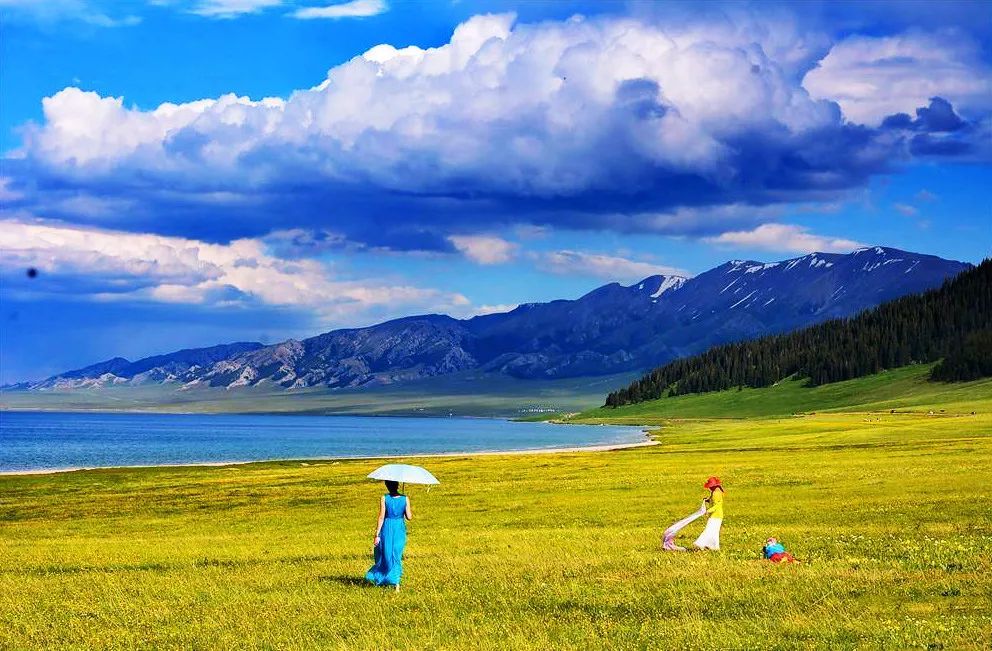 新疆之光,引领科技生活新纪元的领先高科技产品介绍