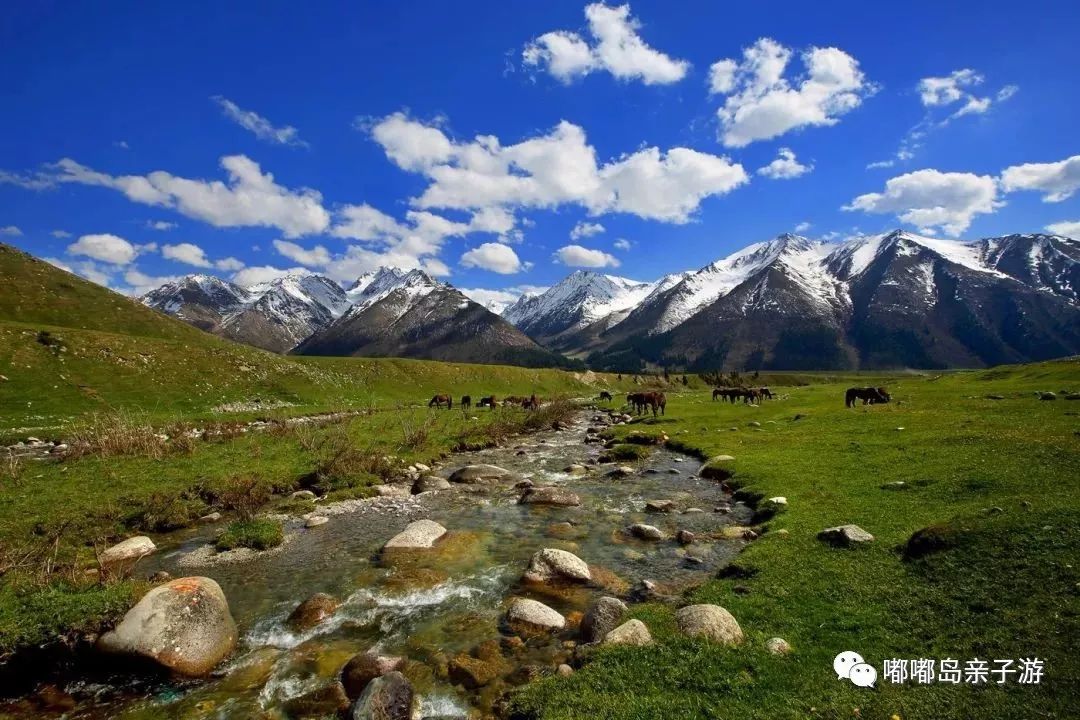 新疆西域之旅,行吟千年风华